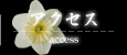 アクセス